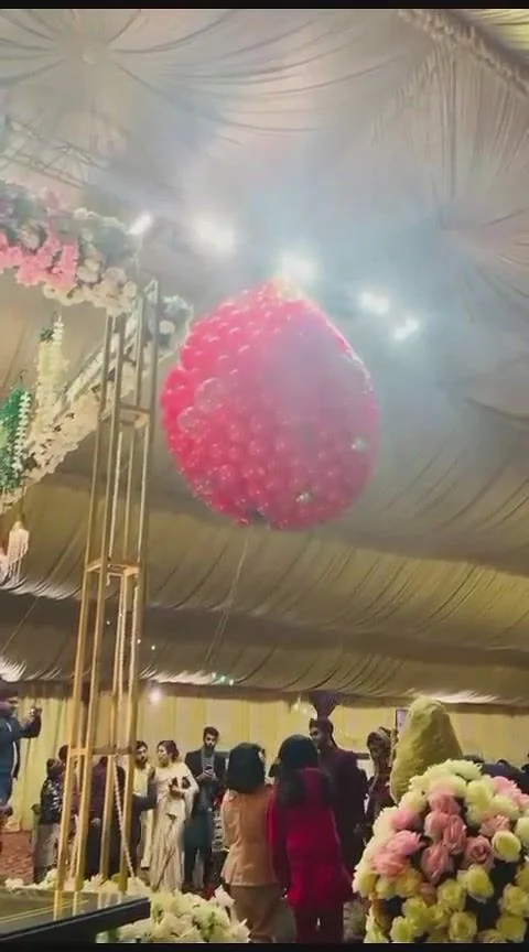 Balloon release under a draped tent, timed for the big moment.
